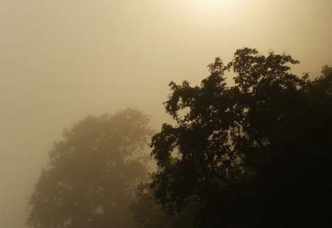 The Sun